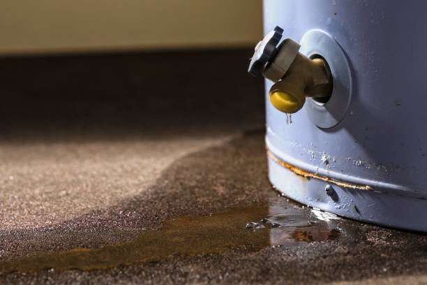 Best Sewage cleanup and water damage restoration  in Columbus, KS