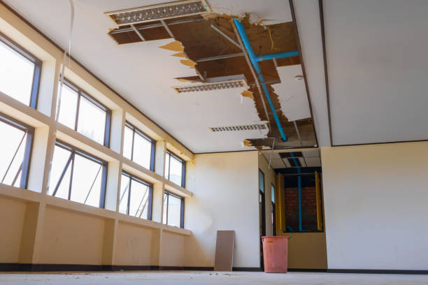 Best Flood damage cleanup  in Columbus, KS