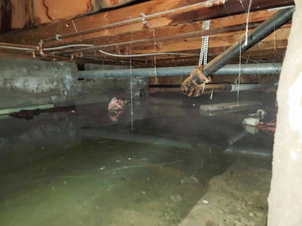 Best Water damage restoration specialists  in Columbus, KS