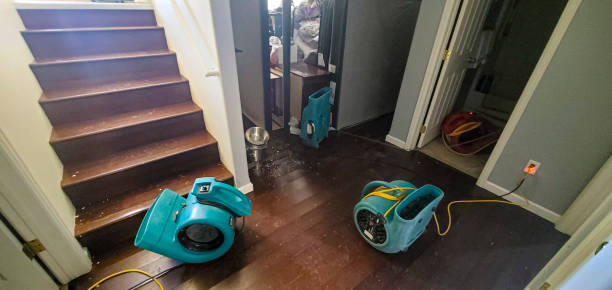 Sewage cleanup and water damage restoration in Columbus, KS