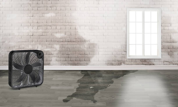 Best Water damage restoration near me  in Columbus, KS