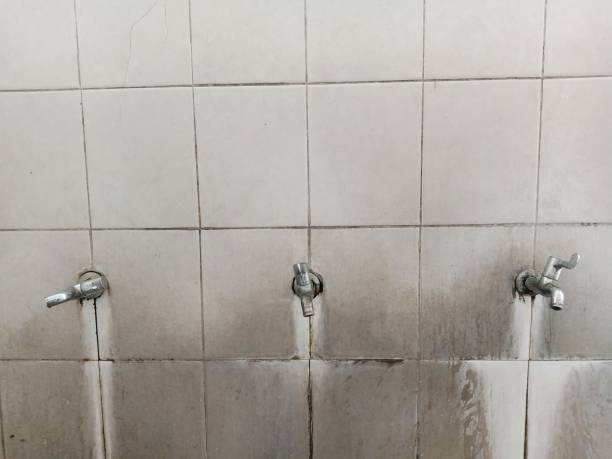 Best Flood restoration services  in Columbus, KS