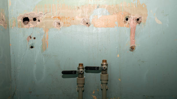 Best Water damage restoration near me  in Columbus, KS