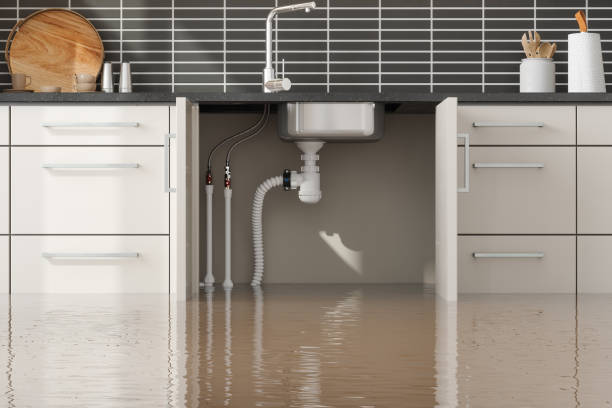 Best Water damage restoration cost  in Columbus, KS