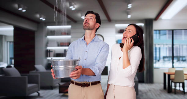 Best Mold removal after water damage  in Columbus, KS