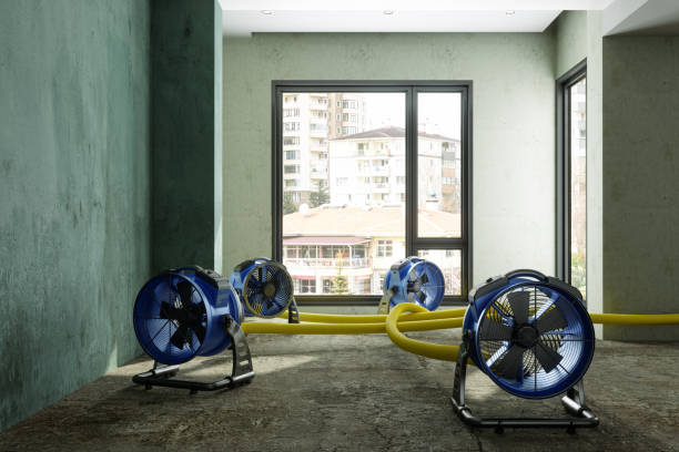  Columbus, KS Water damage restoration Pros