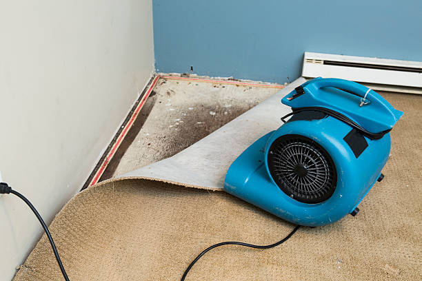 Best Local water damage restoration  in Columbus, KS